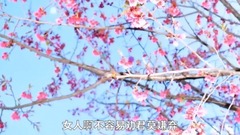华语群星 - 女人不容易