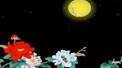 华语群星 - 人生如花