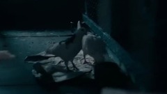 欧美群星,影视原声,音乐短片,看点什么梗,看点新片预告 - 电影<正义联盟.2017>cut 上部