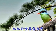原创 - 姑娘十八一朵花