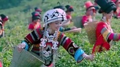 华语群星,民乐群星 - 有缘请常来