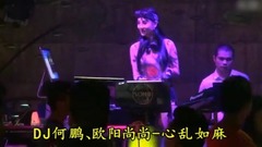 何鹏 - 心乱如麻(DJ版)