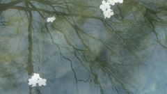 风景,影视原声,音乐短片,乐动城市 - 一生所爱
