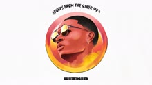 Picture Perfect (Audio)