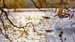 风景,影视原声,音乐短片,音悦V榜,乐动城市 - 冯提莫新版【一生所爱】小黎的传说作品