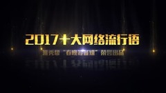 华语群星,搞笑音乐 - 【淮秀帮】年末终极盘点:2017十大网络流行语!