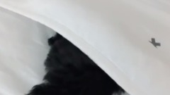 少女时代,太妍(少女时代) - 金泰妍的Zero更新第十则
