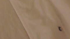 少女时代,太妍(少女时代) - 金泰妍的Zero更新第十一则