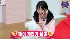 少女时代,Sistar,EXO,防弹少年团,BLACKPINK - 【KPOP IDOLS】爱豆们与宠物的可爱日常