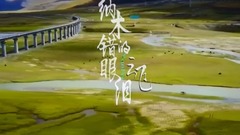 华语群星 - 纳木错的眼泪