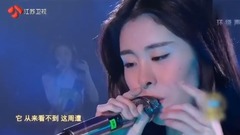 张碧晨 - 胡桃匣子