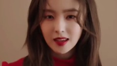 涩琪(Red Velvet),WENDY(Red Velvet),Red Velvet,IRENE(Red Velvet),BLACKPINK - 口哨 & 躲猫猫