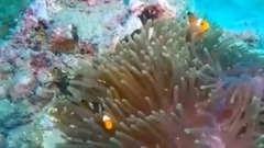 风景 - 浣纱
