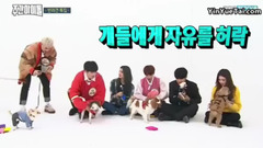 EXID,Seventeen,MONSTA X,金请夏 - 爱犬特辑 - 一周的偶像 18/01/03