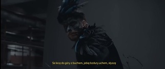 欧美群星 - Zohan