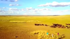 风景,音乐短片 - 永远的乌兰牧骑