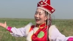 华语群星,民乐群星 - 草原情郎