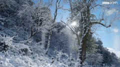风景,音乐短片,轻音乐 - 风雪之中