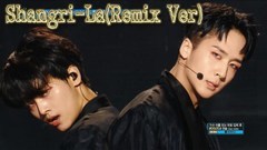 VIXX - The Wind of Starlight & 桃源境(Remix Ver.)