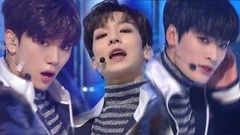 TRCNG - WOLF BABY