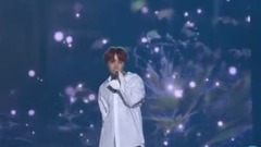 防弹少年团 - 春日(Spring Day)