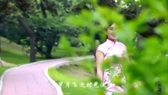 华语群星 - 故乡