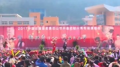 华语群星 - 凤凰传说