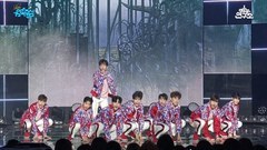 TRCNG - Wolf Baby