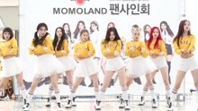 MOMOLAND - MOMOLAND - BBoom BBoom 签售会饭拍 18/01/21