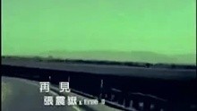 张震 - 张震岳-再见
