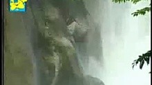 罗,李翊 - 罗文-在我生命里