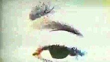 ImYourBabyTonight