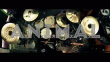 A.N.I.M.A.L - Honor