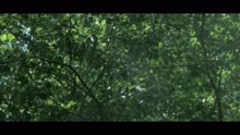 Sara Costa - Sirop (Official Music Video)