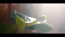 dePresno - Breathing