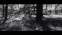 Sons Of Apollo - Alive (official video)