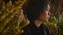  - warbear - 墓场の蝶