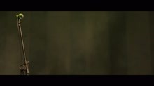 Arnaldo Antunes - Que Me Continua (Ao Vivo)