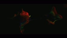 De jour comme de nuit (Clip officiel)