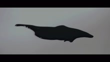 Barren Earth - The Ruby (official video)
