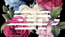 Bigbang - BIGBANG - FLOWER ROAD
