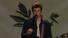 Shawn Mendes - Shawn Mendes - In My Blood 现场版2018