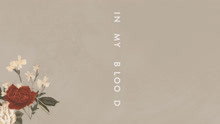 Shawn Mendes - Shawn Mendes - In My Blood 试听版