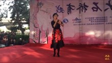  - 河南梨园春金奖擂主王光姣在大石桥演唱豫剧《香魂女》送环环
