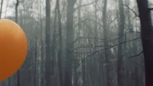 Signal (Official Video)