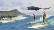  - Coldplay 最新单曲 MV：Up&Up！视觉太狂野了