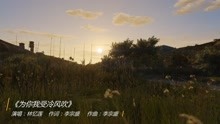  - 林忆莲《为你我受冷风吹》