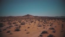 Zach Williams - Song of Deliverance (Lyric Video)