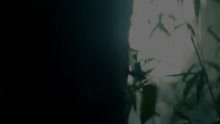 Wretch 32 - Blackout