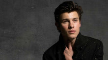 Shawn Mendes - Shawn Mendes - In My Blood